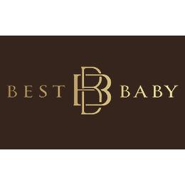 bestbaby佰佳斯特-2006江苏江苏百佳斯特汽车制品有限公司是国内最早