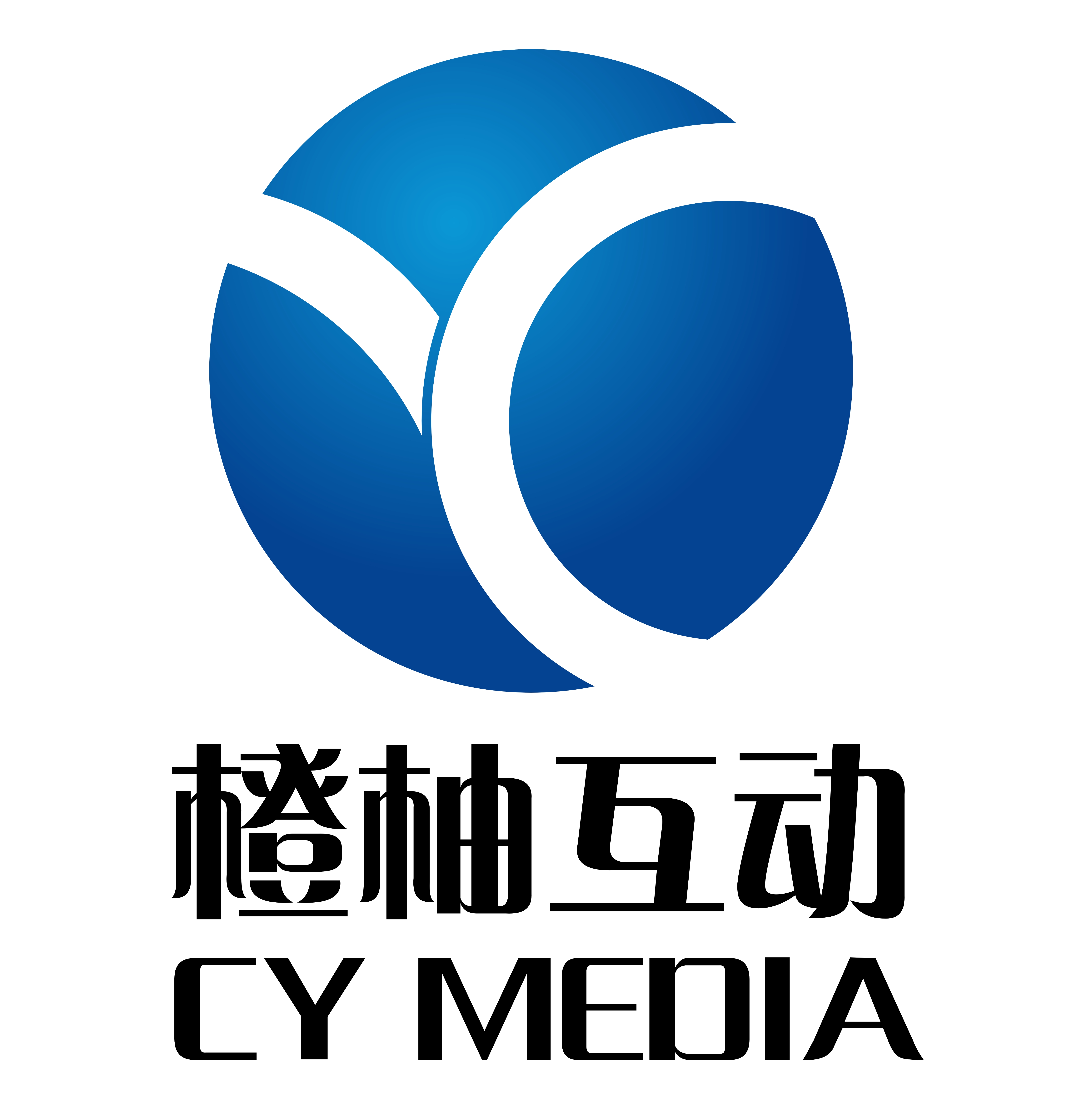 上海成佑信息科技有限公司