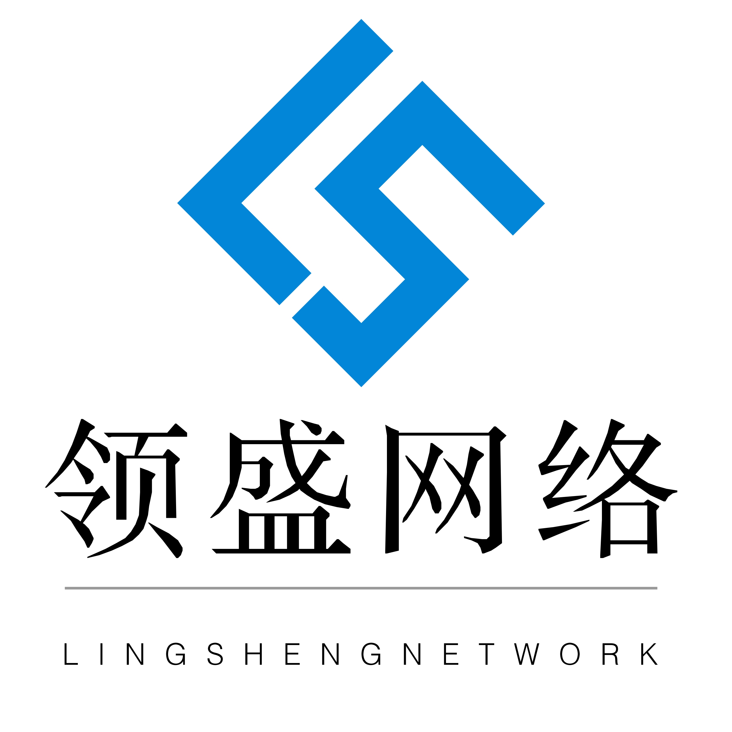 河南领盛网络科技有限公司