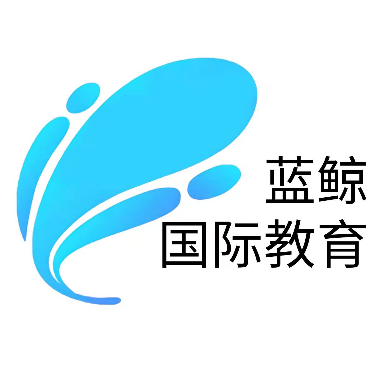 蓝鲸国际教育信息咨询(天津)有限公司