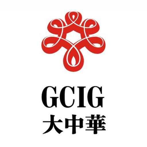 大中华国际集团