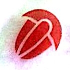 山西三叶虫信息技术股份有限公司