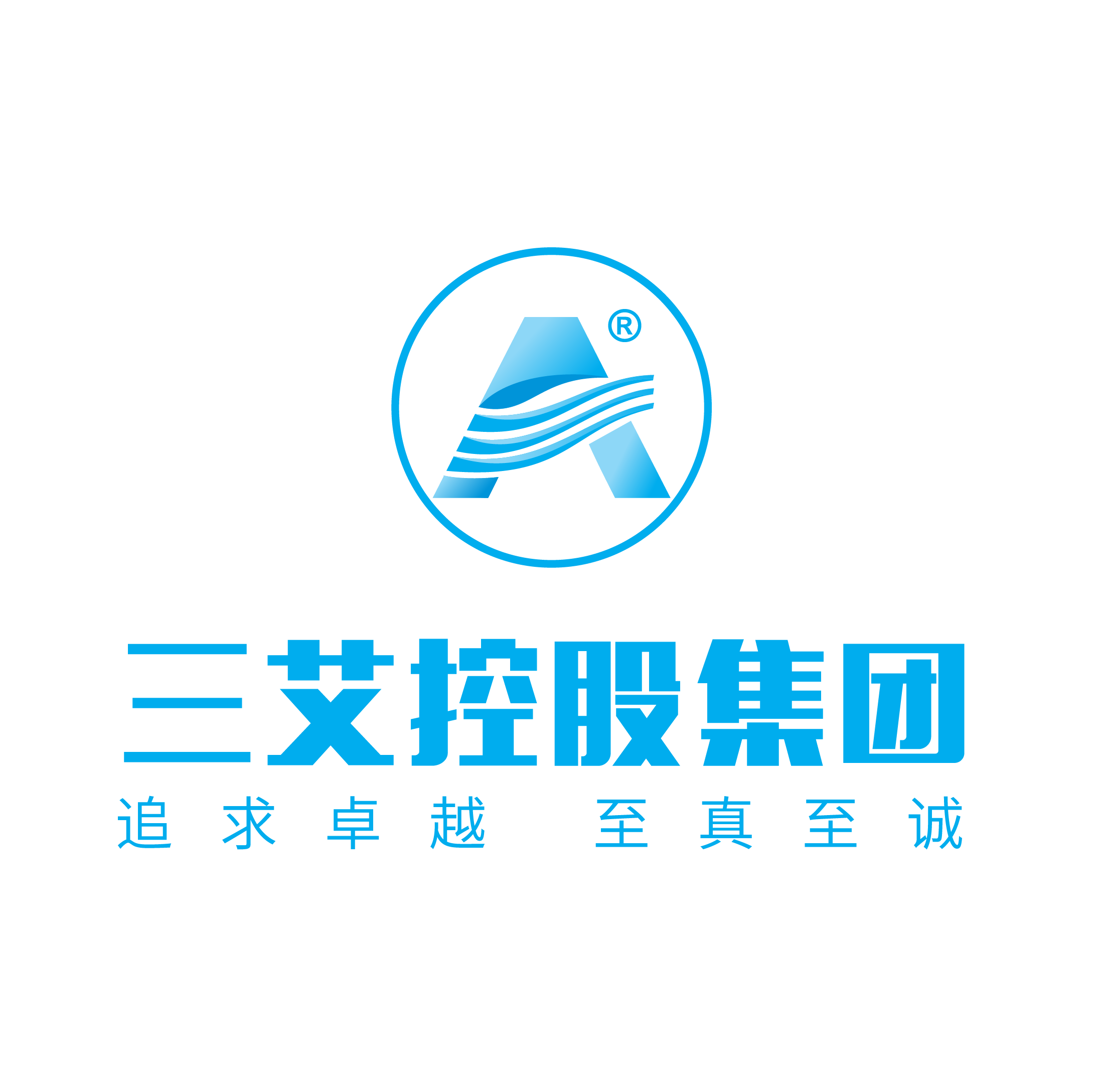 三艾（江苏）控股集团有限公司