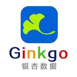 湖南银杏数据科技有限公司