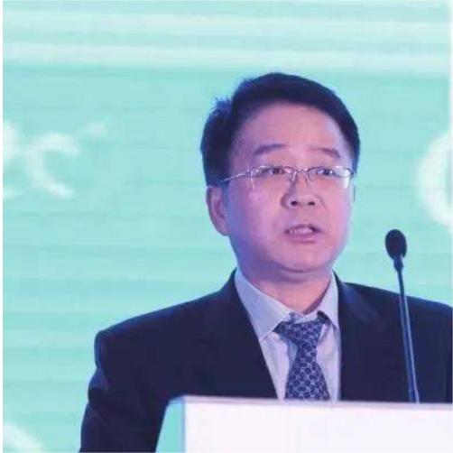 陈飞 - 中国证券金融股份有限公司 - 法定代表人/高管/股东 - 爱企查