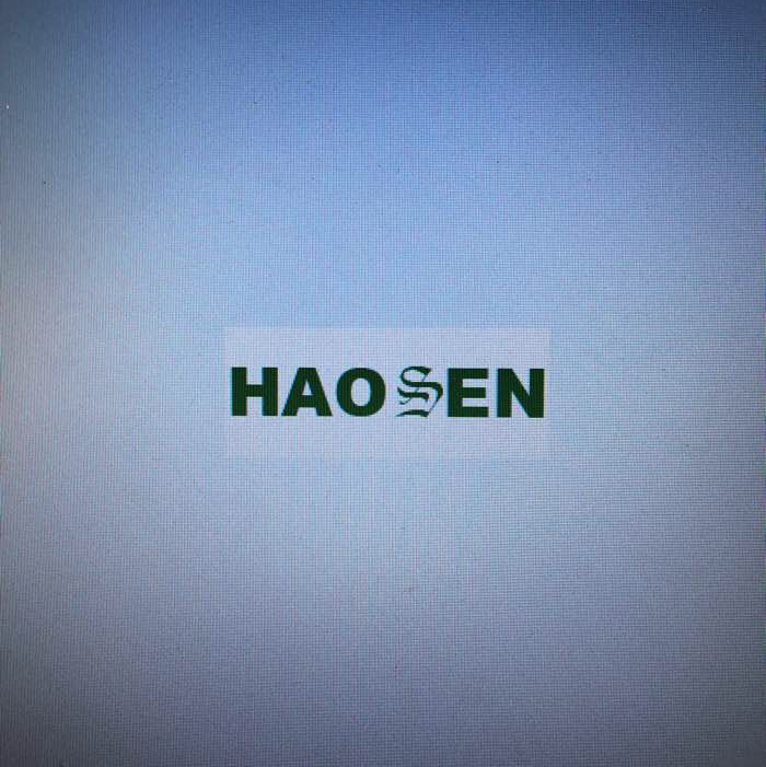 大连豪森智源数据有限公司