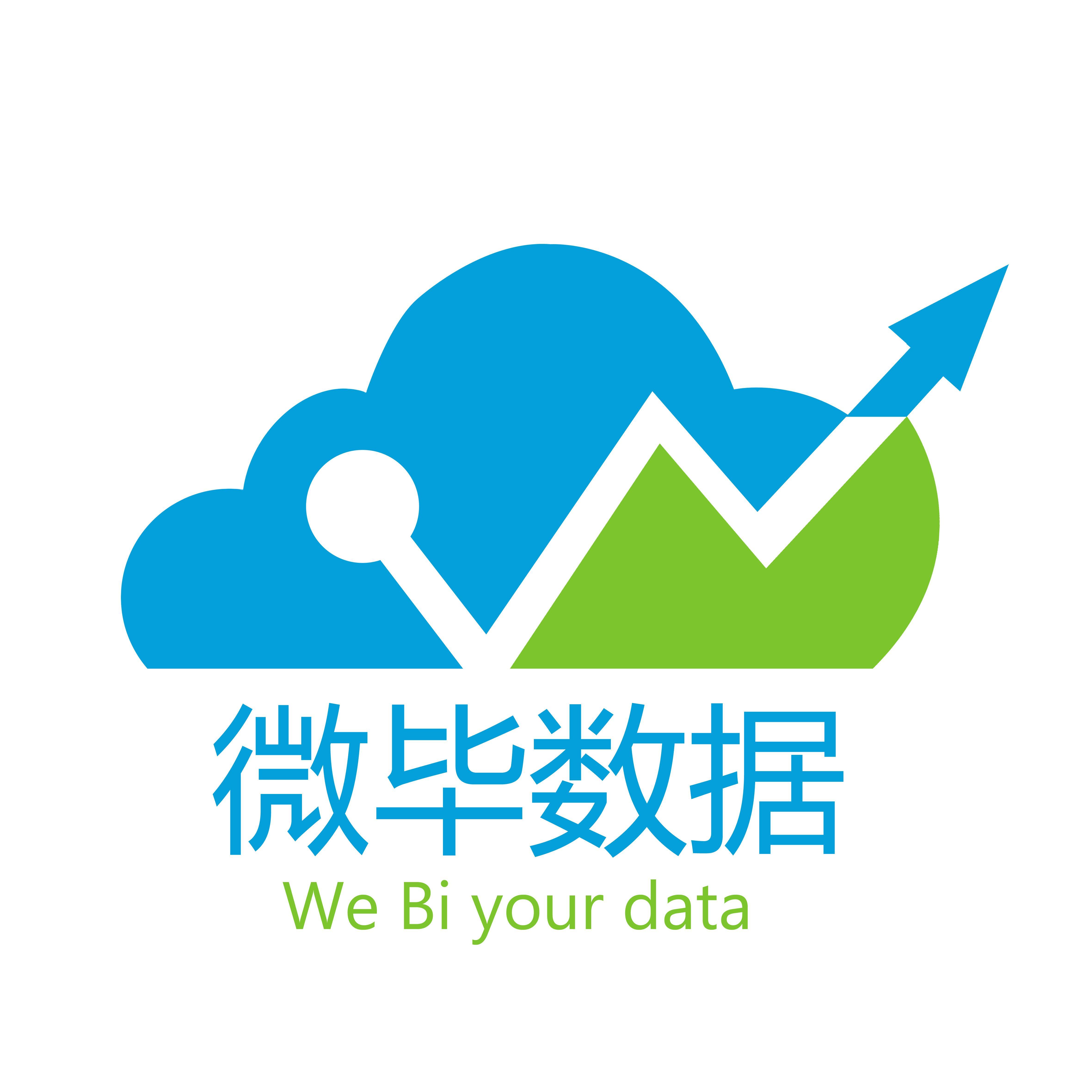 微毕数据科技(北京)有限公司