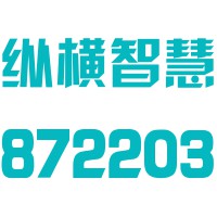 武汉纵横智慧城市股份有限公司
