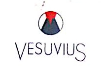 维苏威高级陶瓷（中国）有限公司