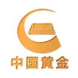 中金钢构工程有限公司