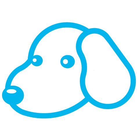 北京比格大数据有限公司