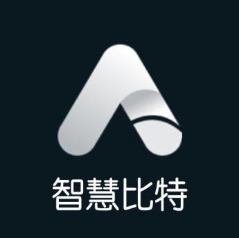 大连智慧比特科技有限公司