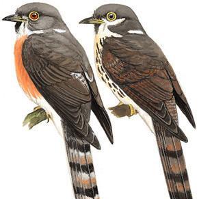 天津数酷智软科技发展有限公司