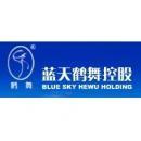 浙江蓝天鹤舞控股有限公司
