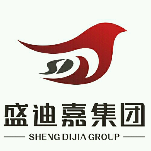 广东盛迪嘉电子商务股份有限公司