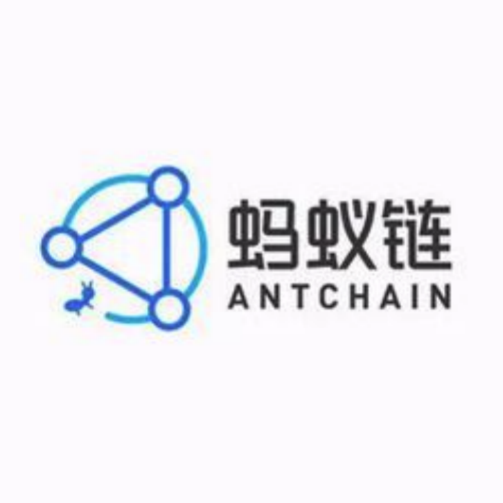 蚂蚁链(上海)数字科技有限公司 - 爱企查