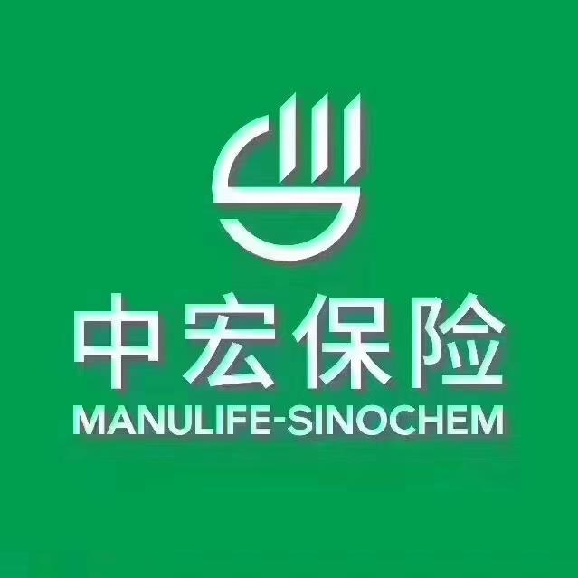 中宏人寿保险有限公司上海分公司 - 中宏人寿 - 爱企查