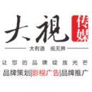 河南大视映画文化传媒股份有限公司