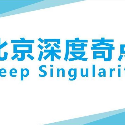北京深度奇点科技有限公司
