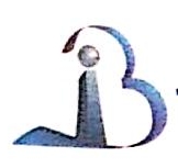 上海宾孚数字科技集团有限公司