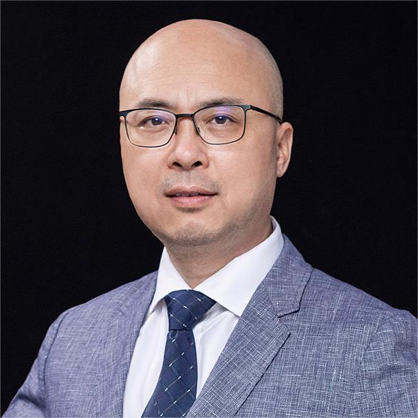 冯雷 - 合肥维天运通信息科技股份有限公司 - 法定代表人/高管/股东 - 爱企查