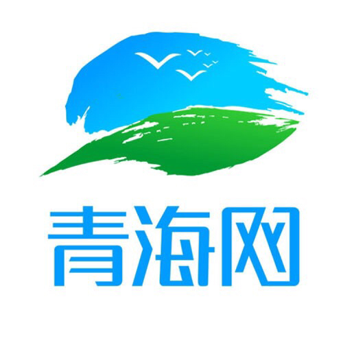 青海天辰网络科技有限公司