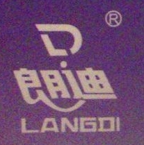 广东朗迪格林特电器有限公司