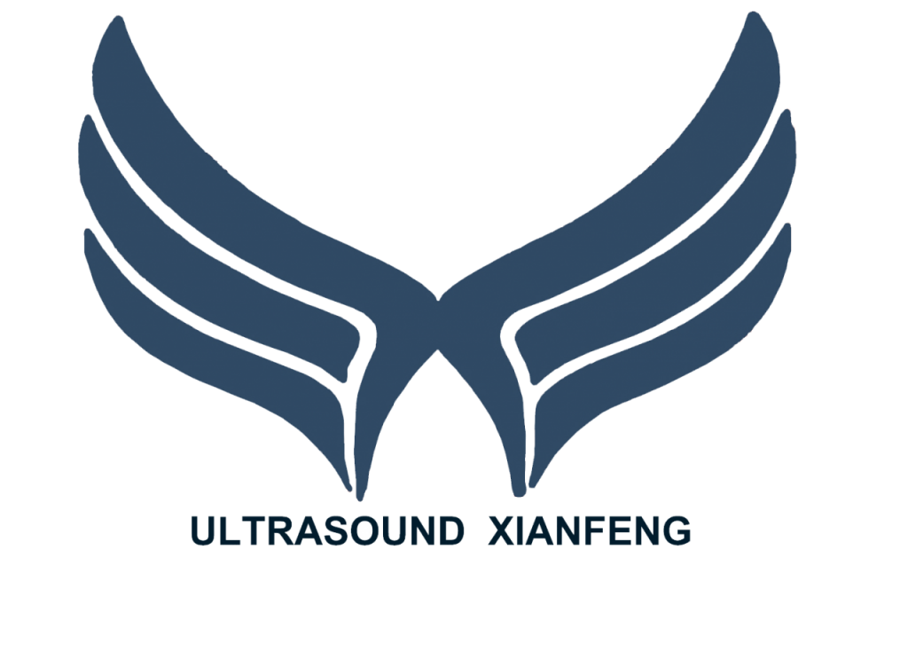 绵阳市先锋医疗器械有限公司