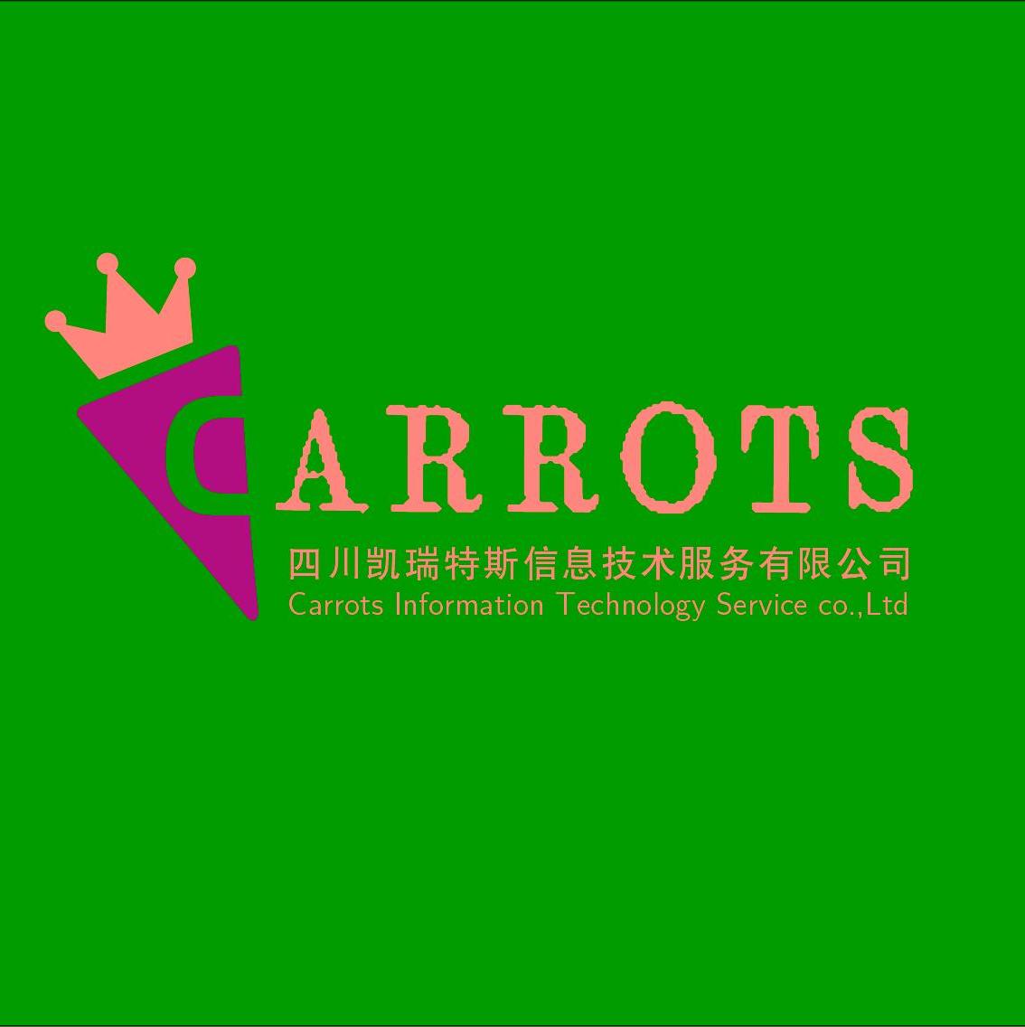 四川凯瑞特斯信息技术服务有限公司