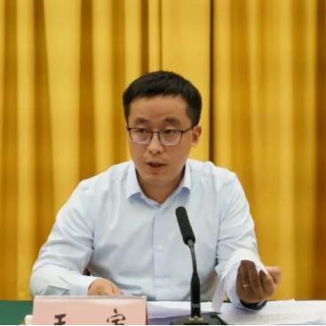 王宇 - 博雅新材料股份有限公司 - 法定代表人/高管/股东 - 爱企查