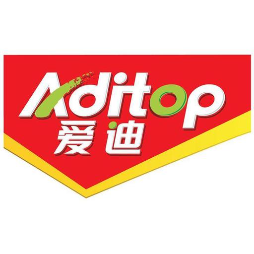 上海爱迪技术发展有限公司