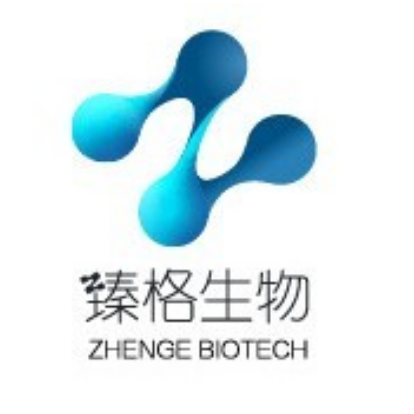 上海臻格生物技术有限公司 - 臻格生物 - 爱企查
