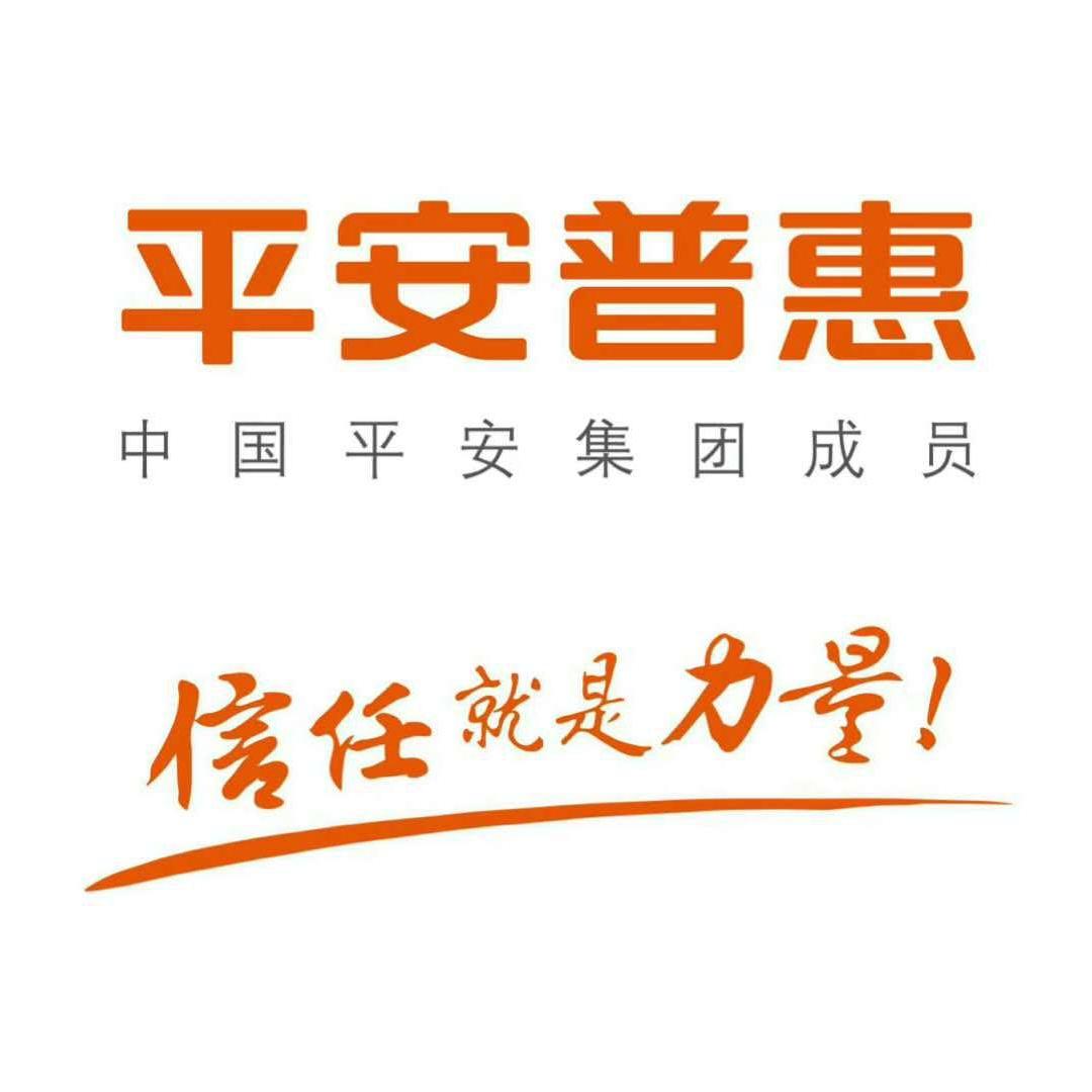 平安普惠投资咨询有限公司昆明北京路分公司