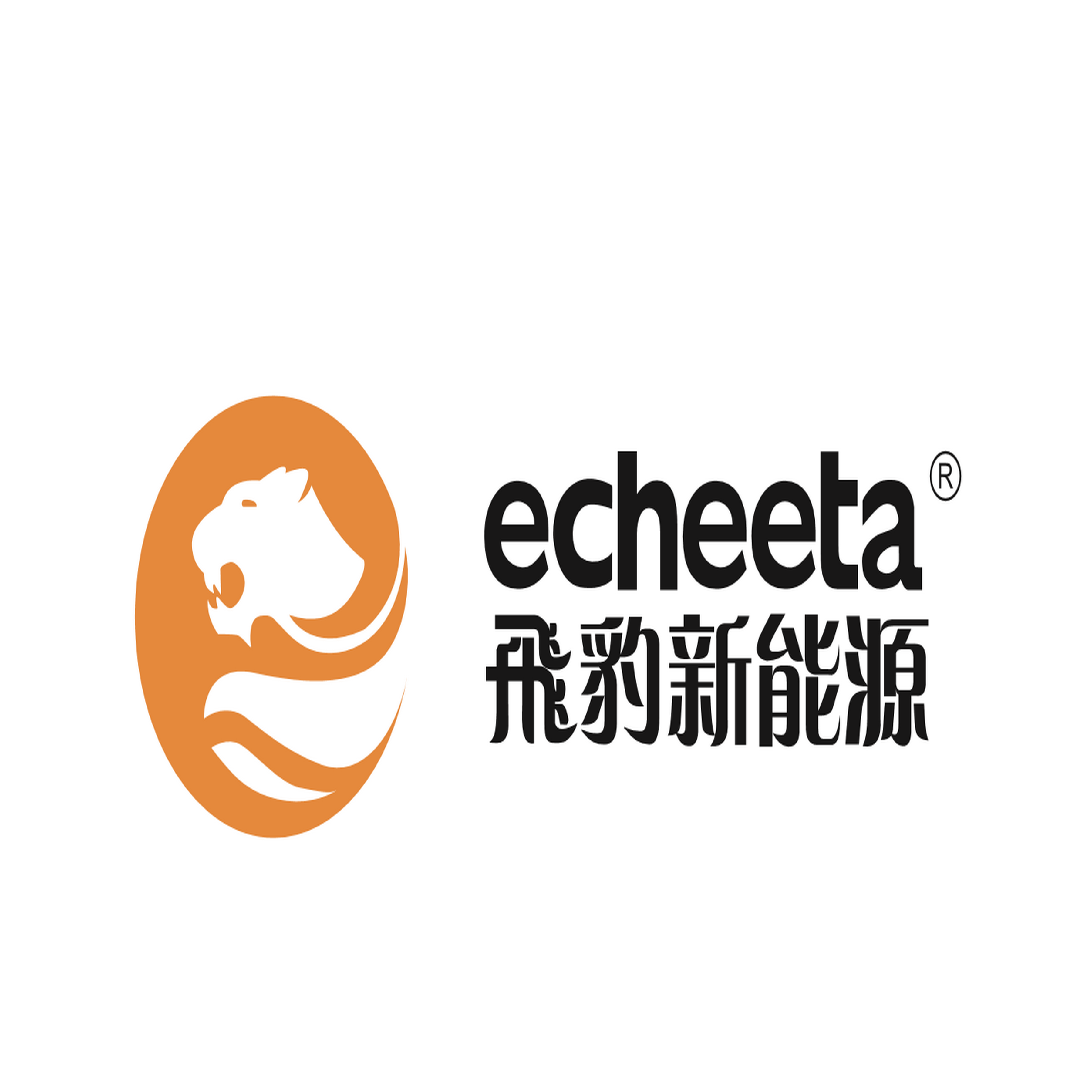 河北飞豹新能源科技有限公司