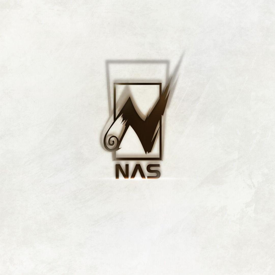 广州纳仕信息科技有限公司