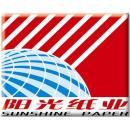 山东世纪阳光纸业集团有限公司