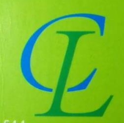 深圳市中南活力实业股份有限公司