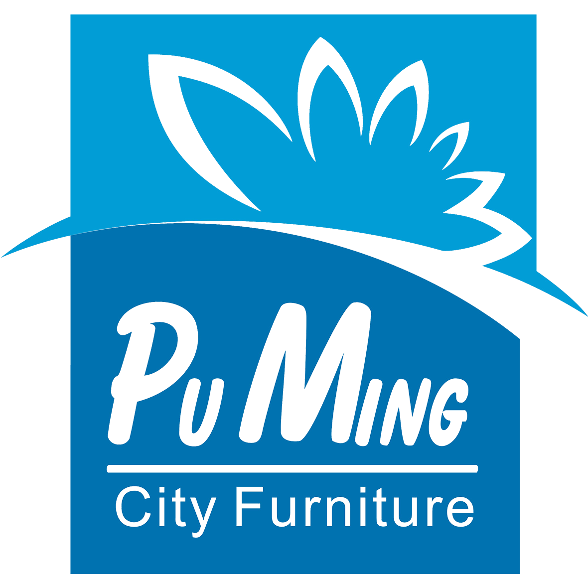 深圳市普铭智能技术有限公司