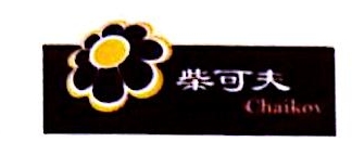 成都柴可夫电器设备有限公司