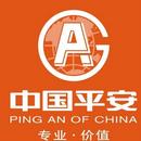 深圳平安综合金融服务有限公司