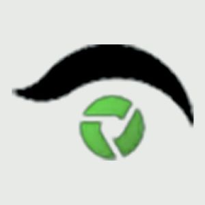 安徽慧视金瞳科技有限公司