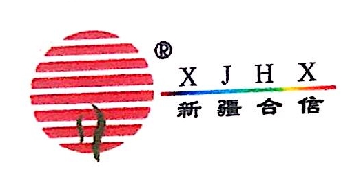 新疆合信科技发展有限公司