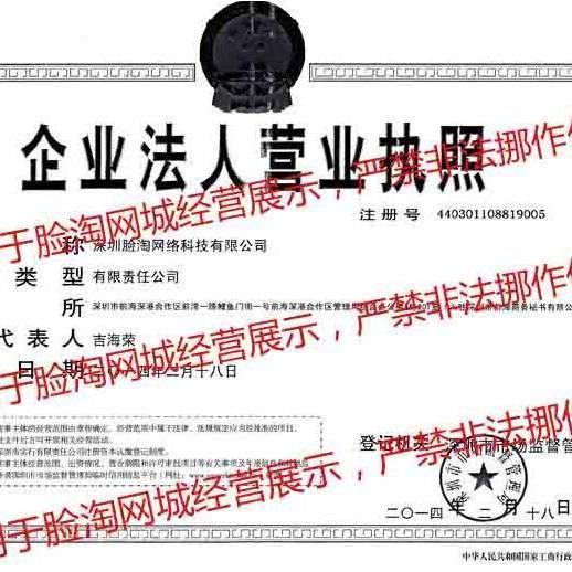 广东脸淘电子商务股份有限公司