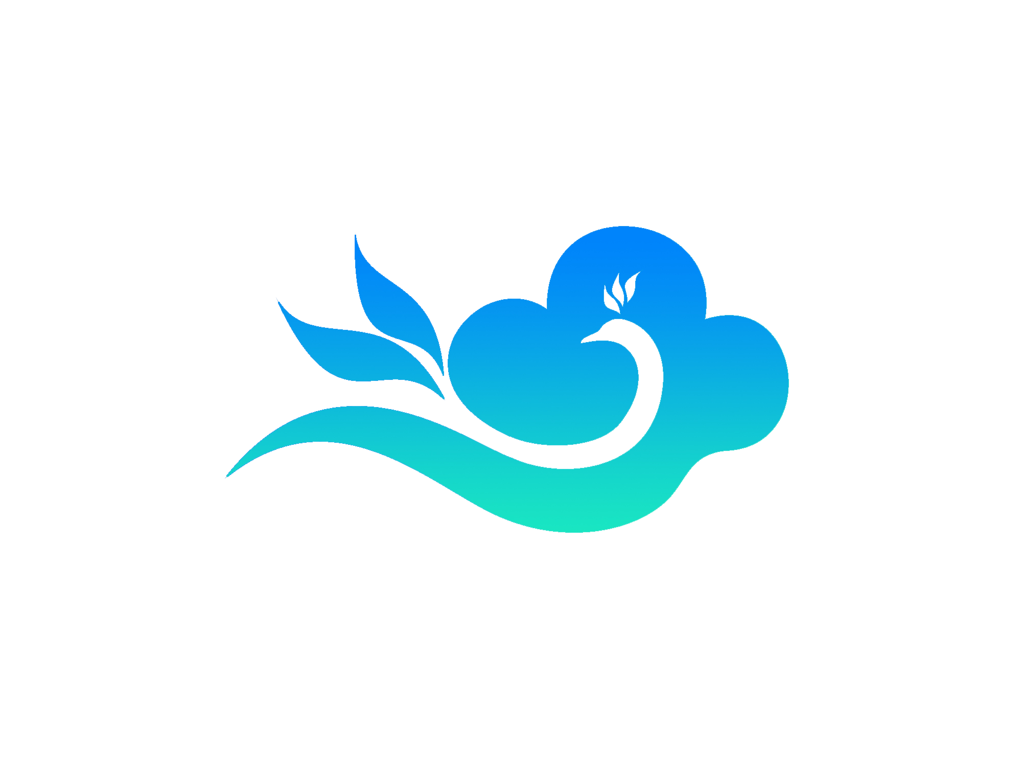 山东云大网络科技有限公司