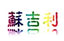 嵊州市圣方电器科技有限公司