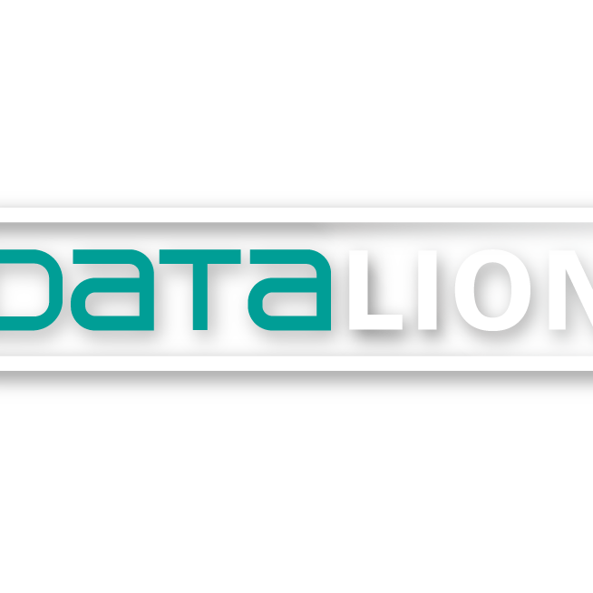 里昂信息咨询(深圳)有限责任公司