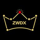 安徽紫薇帝星数字科技有限公司