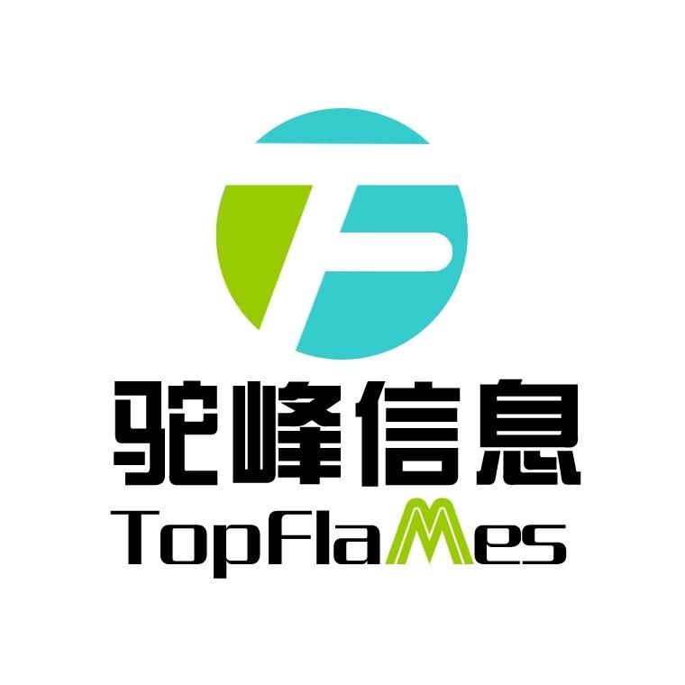 武汉驼峰信息技术有限公司