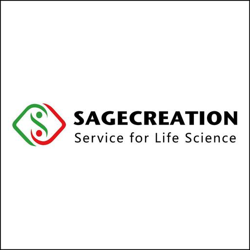 北京赛智创业科技有限公司