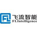 武汉飞流智能技术有限公司